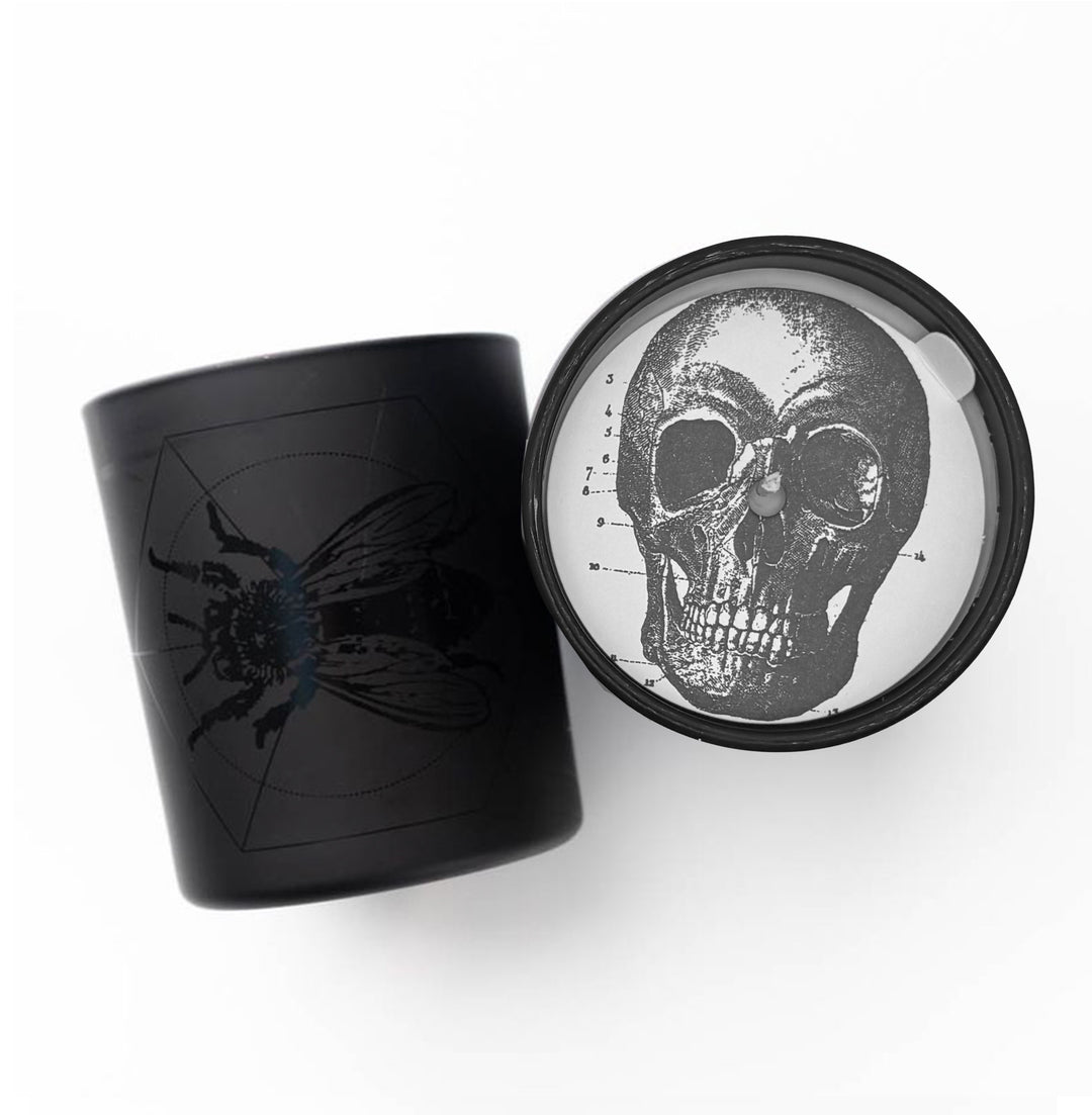 Black container with a hornet design on one side and a skull design on the other, on a white background.