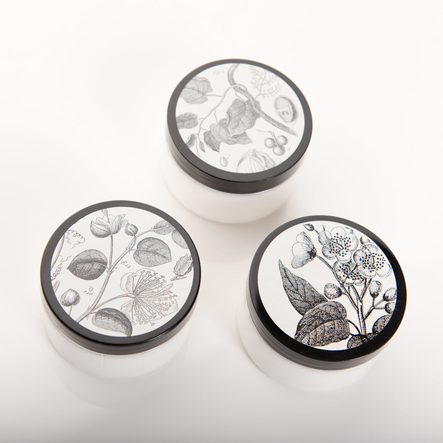 Three white jars with black lids are arranged on a white surface. Each lid features different intricate botanical illustrations of plants and flowers in black and white. The jars and their artistic designs have a clean and elegant appearance.